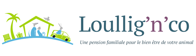 logo Loullig'n'co